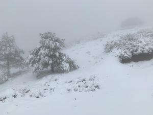 Nieve en la Región: Directo | La Región amanece con varias carreteras cortadas por las nevadas