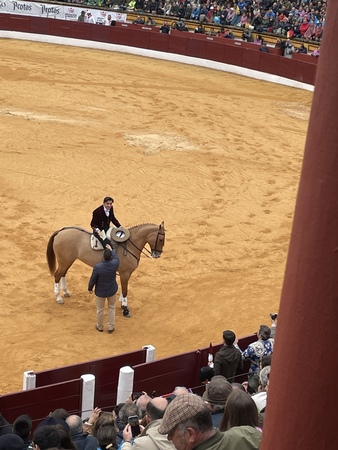 Así hemos narrado el festejo matinal en la Feria de Olivenza