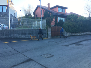 DIRECTO: última hora sobre el crimen del concejal de Llanes Javier Ardines