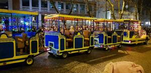 Directo: medusas, peces y pulpos pasean por las calles de Valladolid