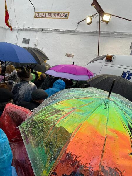La lluvia obliga a suspender el último festejo y la Feria de Olivenza se despide con agua