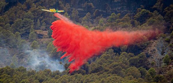 En directo | Última hora del incendio forestal de Los Guájares