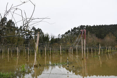 En directo: última hora del temporal en Asturias