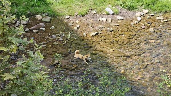 Así te hemos contado el episodio de calor extremos que ha vivido Gipuzkoa