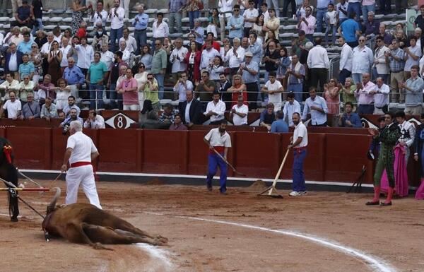 Eclosión de Perera en La Glorieta