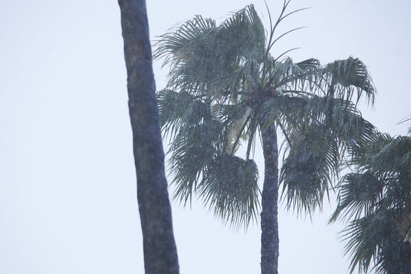 Así te hemos contado el paso del temporal por la provincia de Alicante
