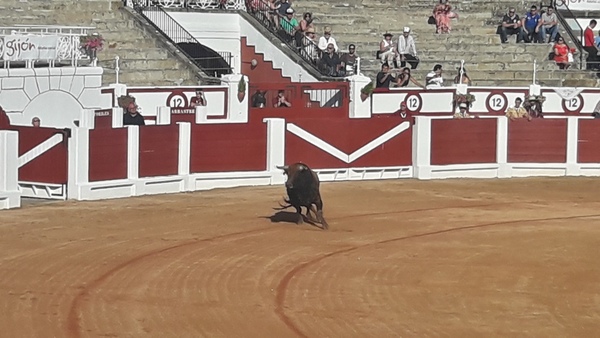 Gijón enloquece con Morante y pierde el norte con El Juli