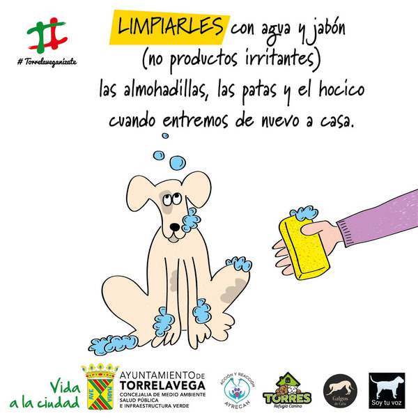 Directo | Otro viernes de confinamiento en Cantabria