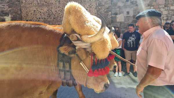 Así vivimos en directo los desfiles de carros y pendones y el acto de las Cantaderas