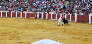 Javier Manso &#039;Balotelli&#039; gana la Liga del Corte Puro en Valladolid