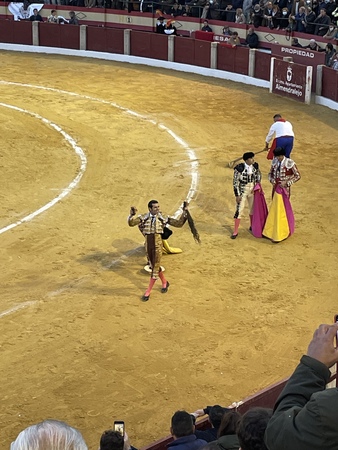 Oreja para Roca Rey en el sexto, al que mató de estocada y cuatro descabellos