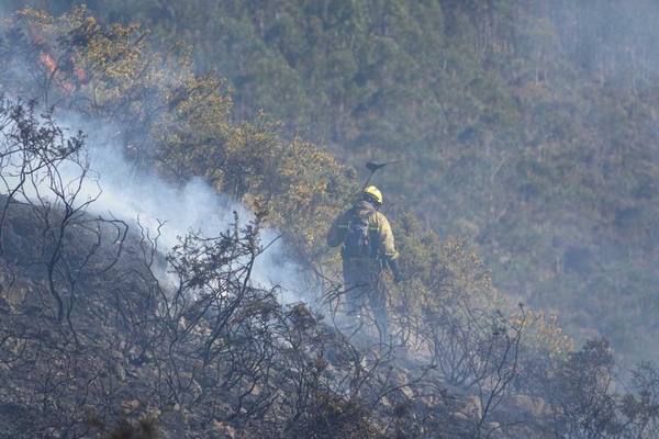 Última hora sobre los incendios forestales en Asturias