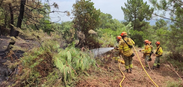 Incendios en Extremadura: Evolución positiva en Jerte y muy favorable en Casas de Miravete