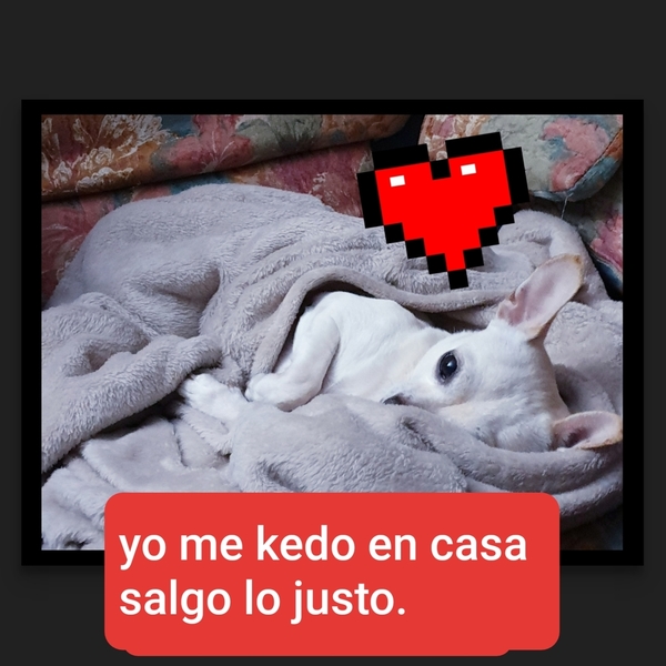 Cantabria se queda en casa