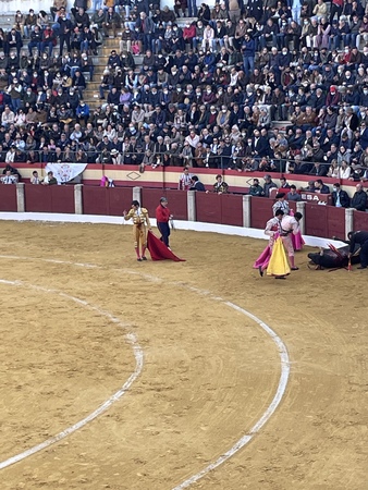 Oreja para Roca Rey en el sexto, al que mató de estocada y cuatro descabellos