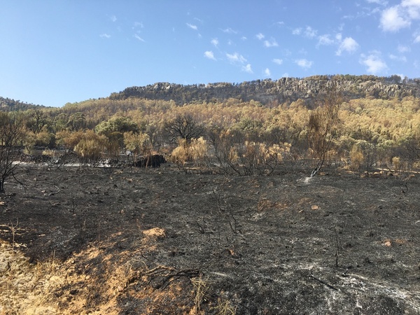Incendios en Extremadura: Evolución positiva en Jerte y muy favorable en Casas de Miravete