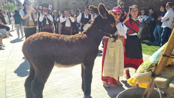 Así vivimos en directo los desfiles de carros y pendones y el acto de las Cantaderas