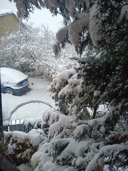 En directo | El temporal &#039;Fien&#039; llega a León