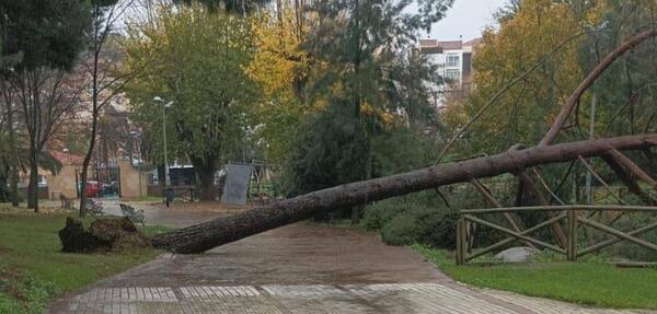 Cáceres reabre las instalaciones y parques públicos clausurados por la tormenta