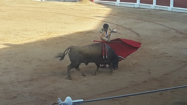 Gijón enloquece con Morante y pierde el norte con El Juli