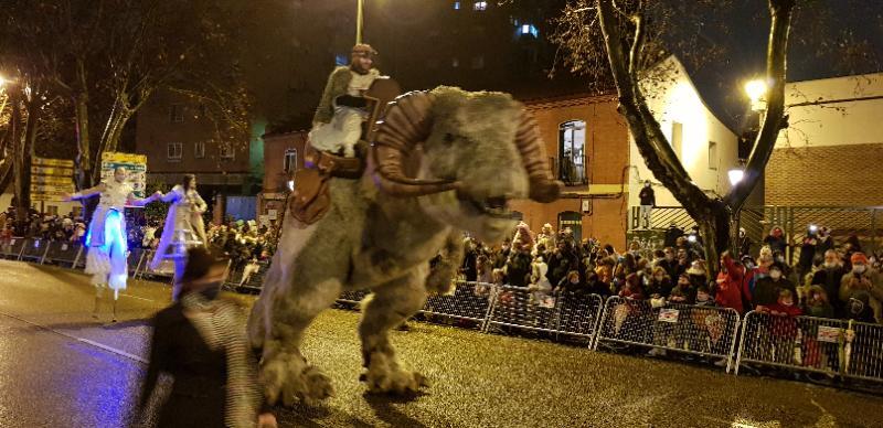 Directo: medusas, peces y pulpos pasean por las calles de Valladolid