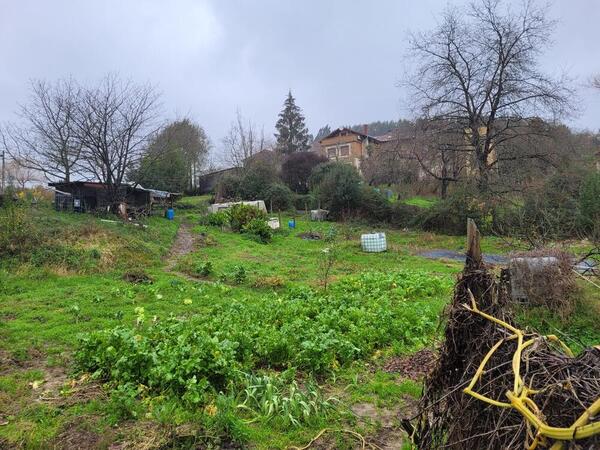 Temporal en Bizkaia, en directo: los ríos, ante el riesgo de desbordamiento