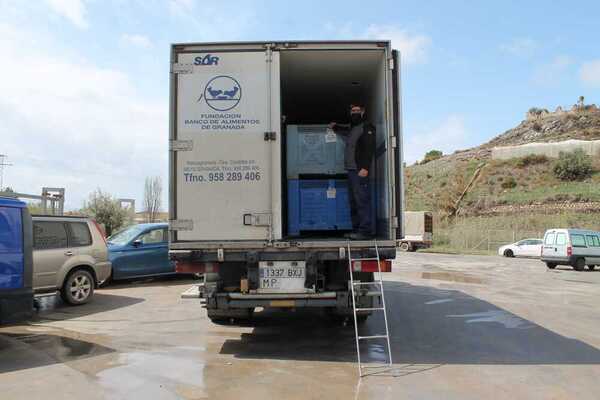 FOTO: P. García-Trevijano