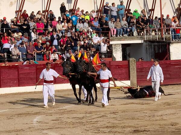 Chaves indulta al sobrero y pone el broche triunfal en Ledesma