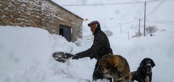 En directo: temporal de nieve en Asturias
