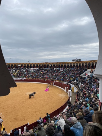 Así hemos narrado el festejo matinal en la Feria de Olivenza