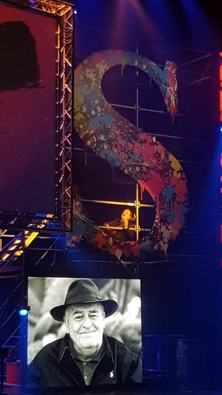 Así hemos contado la alfombra y la gala de la Seminci