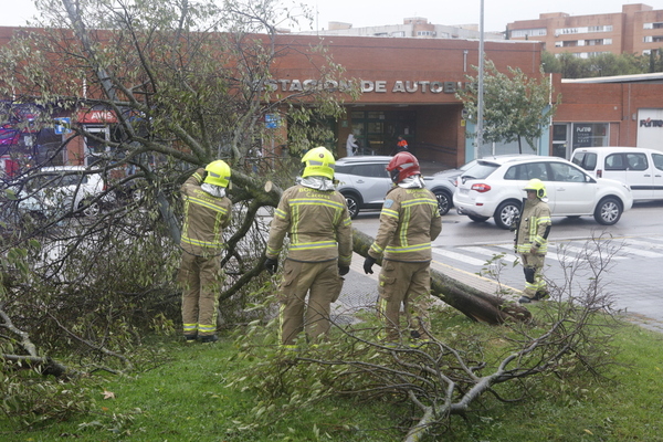 Crónica de una jornada de temporal en Extremadura