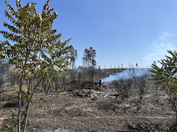 Incendio en Extremadura: Así hemos contado la evolución del incendio en la Sierra de Gata
