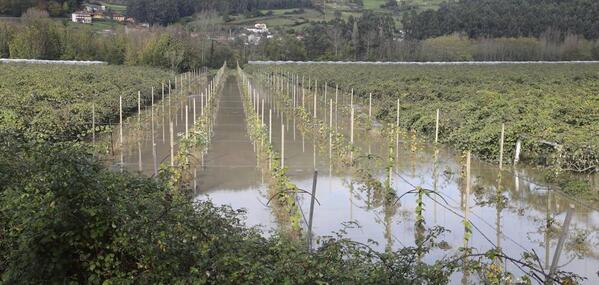 En directo: temporal de nieve en Asturias