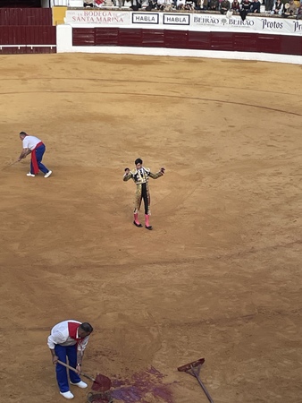 Toros: Así hemos contado el primer festejo de la Feria de Olivenza