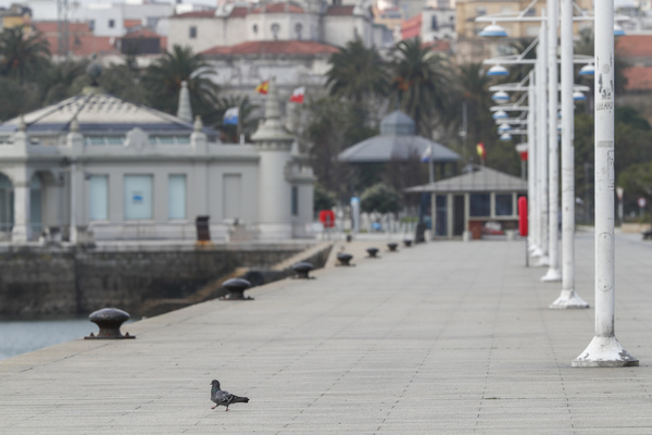 Así de vacías han estado esta mañana las calles de Santander
